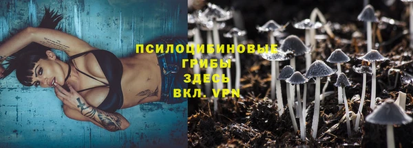 твердый Волоколамск