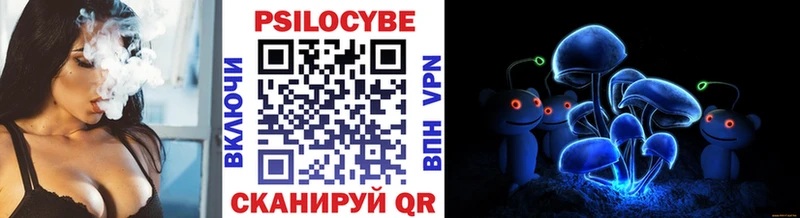 Галлюциногенные грибы Psilocybine cubensis  Новомосковск 